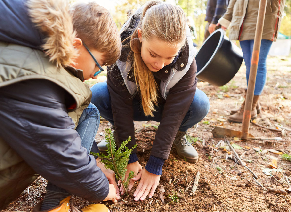 Etudiants Plantent Un Arbre