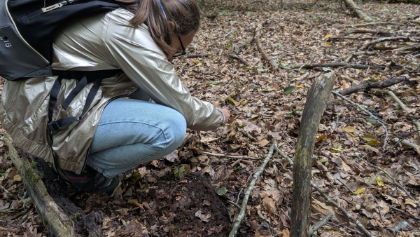 Pxl 20250918 091901162