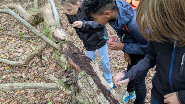 Pxl 20250918 092258714